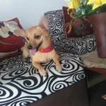 melba jimenez - @melba_jimenez_orrego - Instagram