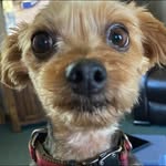 Melba Lawson - @melba.7373 - Instagram