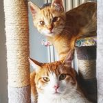 MELBA 🐾 WEASLEY - @littlemelbandweasley - Instagram