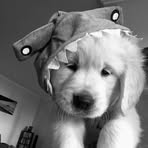 Melda Miller - Facebook