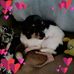 Melba Price - Facebook