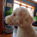 Melba Sutton - @msutton292024 - Instagram