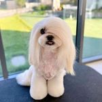 Melba Walters - @mel_3379 - Instagram