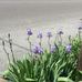 Melba Watson - Facebook