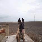 Melchor Perez Aldon - @perezaldonmelchor - Instagram