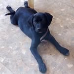 Melchor Ramírez - @melchor.ramirez.378 - Instagram