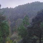 Alba Melida Tzunun - @albamelida36 - Instagram