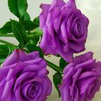 Melida Alba - Facebook