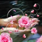Melida Nunez - Facebook