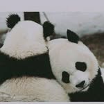 melina .king - @melina.king82 - Instagram
