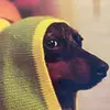Melinaxox - @melinamoore23 - TikTok
