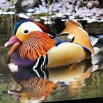 Melinda Ackermann - Facebook