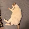 Melinda Blake - @melinda.blake4 - TikTok