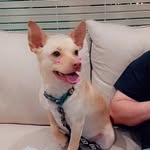 Melinda Blake - @sisterwolf6517 - Instagram