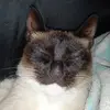 molly - @melindabodenstein0 - TikTok