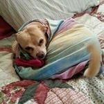 melinda bragg - @tuckersmom3141 - Instagram