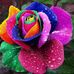 Melinda Britton - Facebook