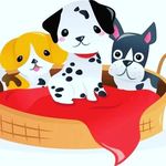 Melinda e Bruce_Mel😻 - @melinda_bruce_mel_07 - Instagram