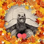 Melinda Hobson Bruce - @hobmel - Instagram