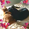 Melinda S. Carey - @user183376977 - TikTok