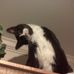 Melinda Clapp - Facebook