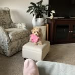Melinda Darrow - Facebook