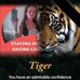 Melinda Dees - Facebook