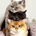 Melinda Dirks - Facebook