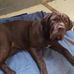 Melinda S Eberhart - Facebook