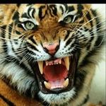 Melinda Dickerson-Epps - @wonderwoman4554 - Instagram