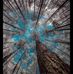 Melinda S Granger - Facebook