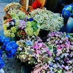 hazel - @hazelmelinda - Instagram