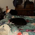 Melinda Hazel Smith - @melindahazelsmith - Instagram