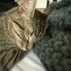 melindahazel7 - @melinda.hazel - TikTok