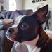 Melinda Head - Facebook
