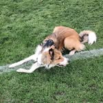 Melinda Lanier - @maazuvetum - Instagram
