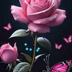 Melinda Logan - Facebook