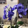 Melinda Lucero - @melindalucero - TikTok
