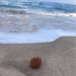 Melinda Major - @viplernemelinda - Instagram
