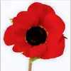 Melinda Steve Major - @melinda.steve.maj - TikTok