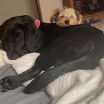 Melinda Mindy Malone - @shannonmalone2 - Instagram