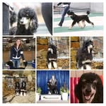 Melinda McCray - @mccraymelinda - Instagram