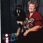Melinda Mccray - @omahasstandard.poodles - Instagram