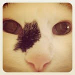 Melinda McDaniel - @herekittykitty34 - Instagram
