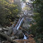 Melinda Miller McDowell - @mmillermcdowell - Instagram