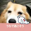 MelindaMclaughlin - @melindamclaughlinmhninz - TikTok