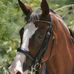 Melinda Messick - Facebook