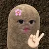 melindamora - @melindamora - TikTok