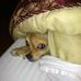 Melinda Painter - Facebook