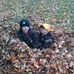 Melinda Parent - Facebook
